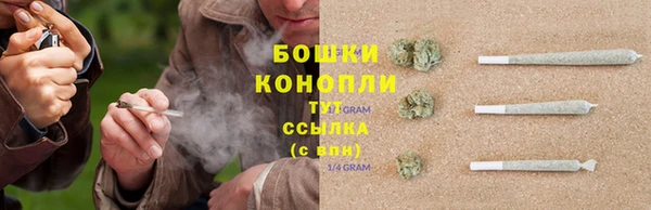 амф Ельня