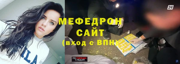 амф Ельня