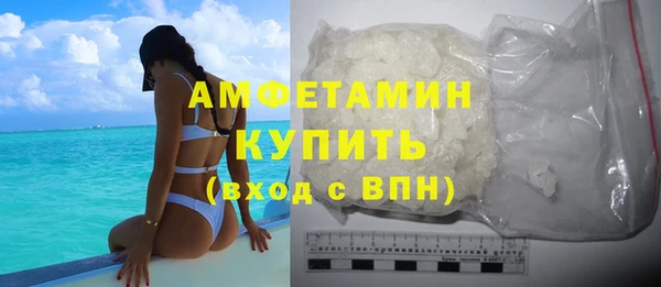 амф Ельня