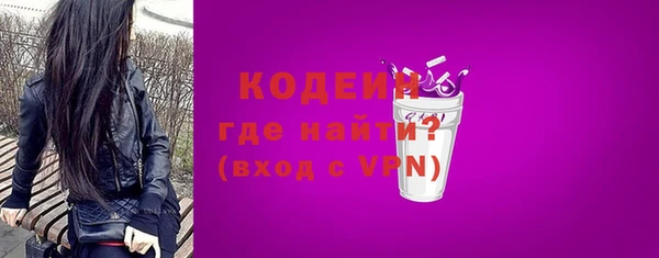 амф Ельня