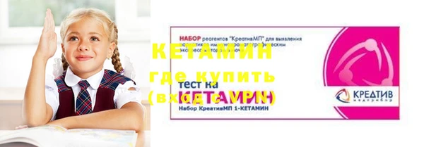 амф Ельня