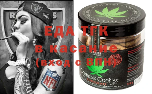 амф Ельня