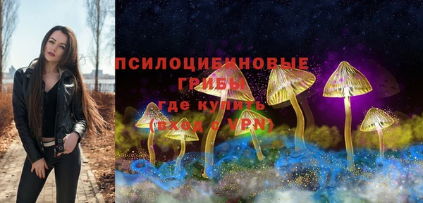 амф Ельня