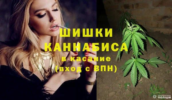 амф Ельня
