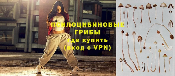 стаф Елизово