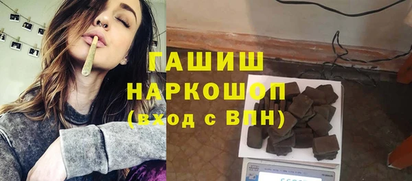 амф Ельня
