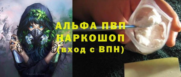 амф Ельня