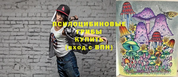 стаф Елизово