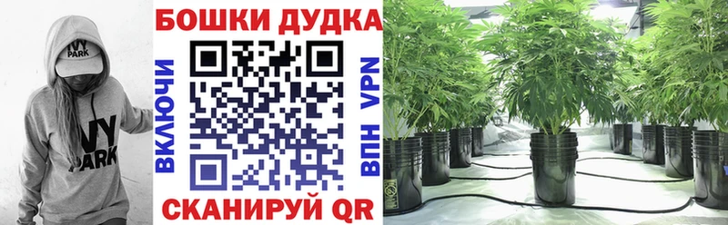 МАРИХУАНА гибрид Купить где Нязепетровск